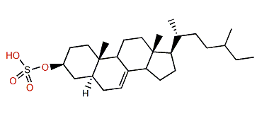 27-Nor-24-methyl-5a-cholest-7-en-3b-ol sulfate